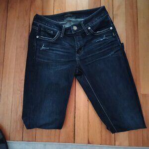 Silver Dark Wash Elyse Skinny Jeans 29" inseam